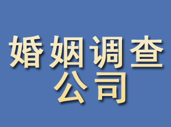 双柏婚姻调查公司